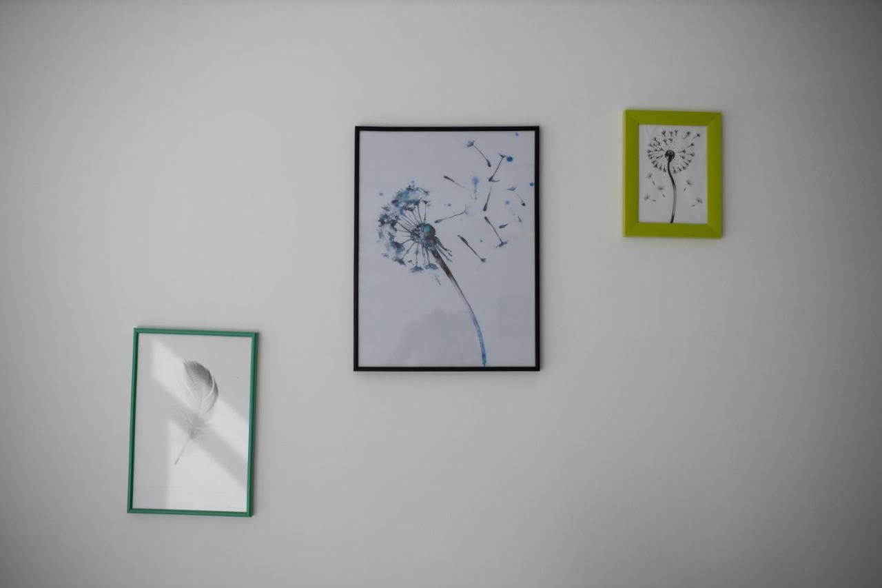 Dandelion hostel Zadar Luaran gambar